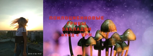 ГАЛЛЮЦИНОГЕННЫЕ ГРИБЫ Алзамай